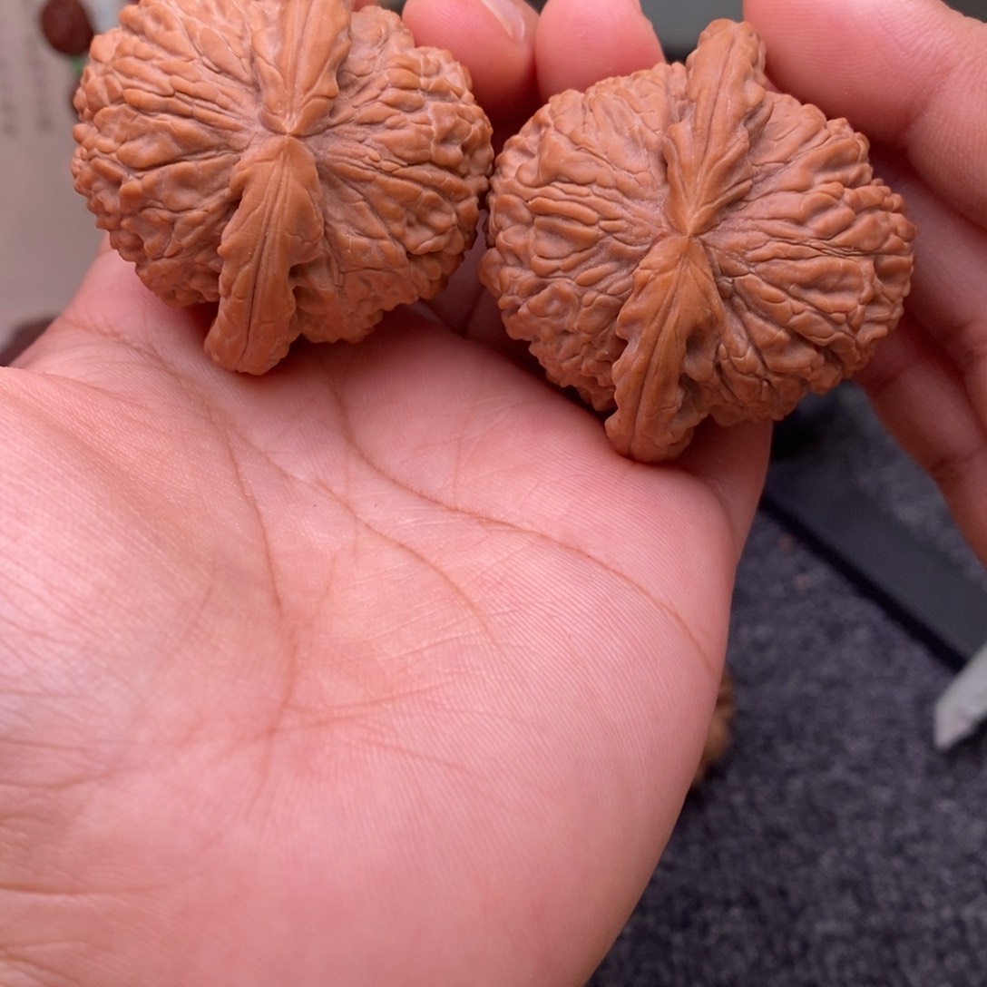 文玩核桃把件43白狮子