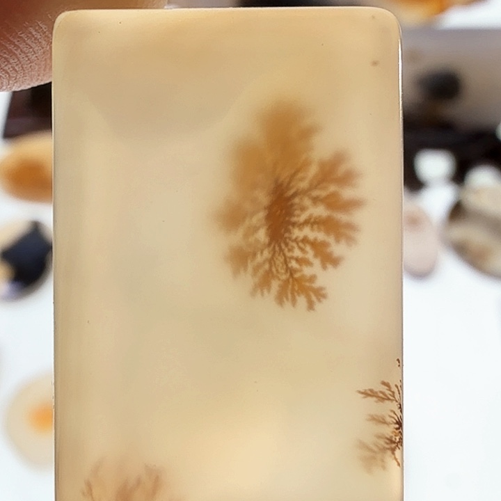 玛瑙/玉髓未镶嵌珠宝半成品
