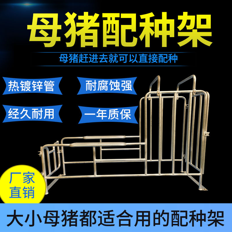 热镀锌管母猪配种架可调高低耐腐蚀不易生锈猪用受精支架
