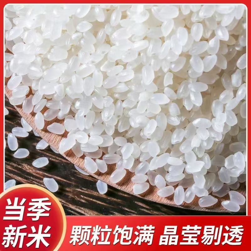 【小刘专属】东北新米珍珠米圆粒饱满煮饭清香口感软糯