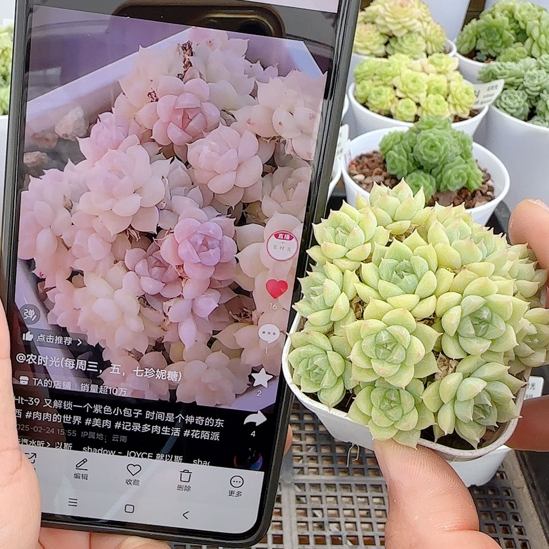 七***.【闪购商品】0809-42（ht-39）