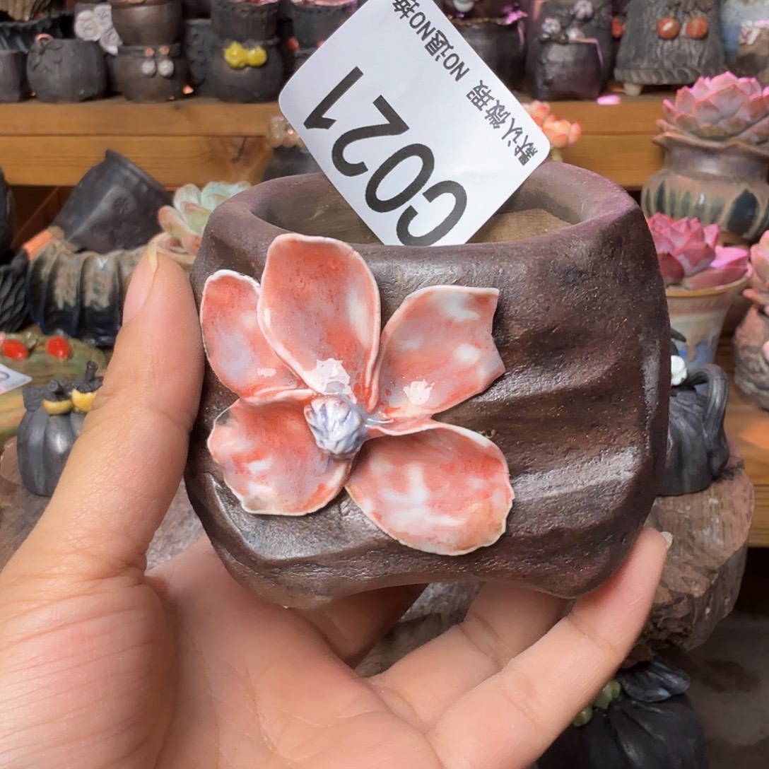 重庆小燕子欢迎大家021