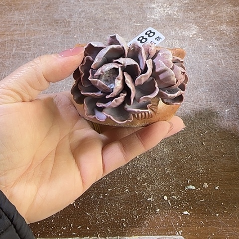 瓷片柴烧柴烧柴烧988