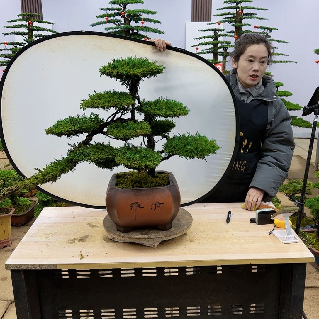 盆景直播间一物一拍光****缆