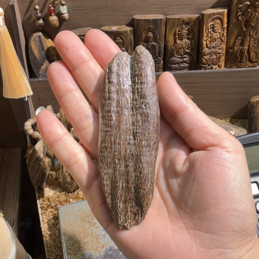 黑***怕沉香碎屑沉香香港天然野瓜子料10.5克