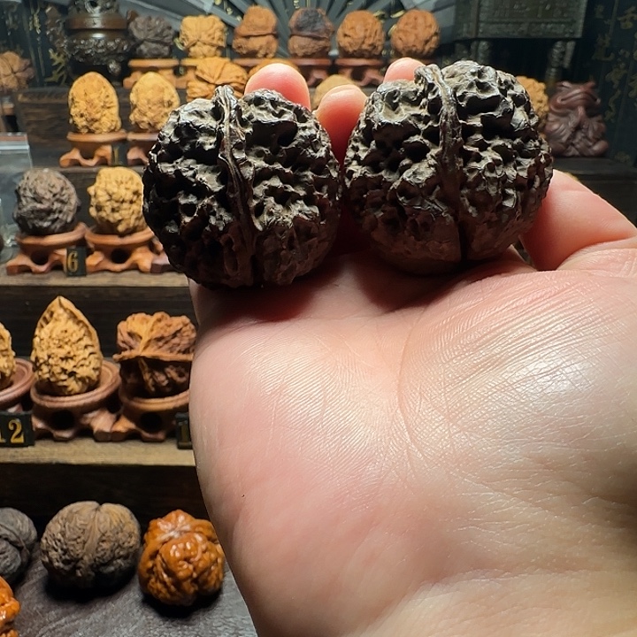 唯***父木质类霸王滚龙蟾45尺76.9克