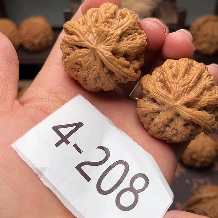 核桃41粗筋福利对4208