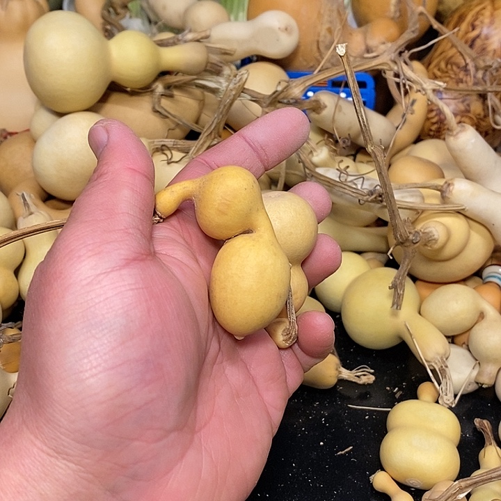 小*精品葫芦手把葫芦34