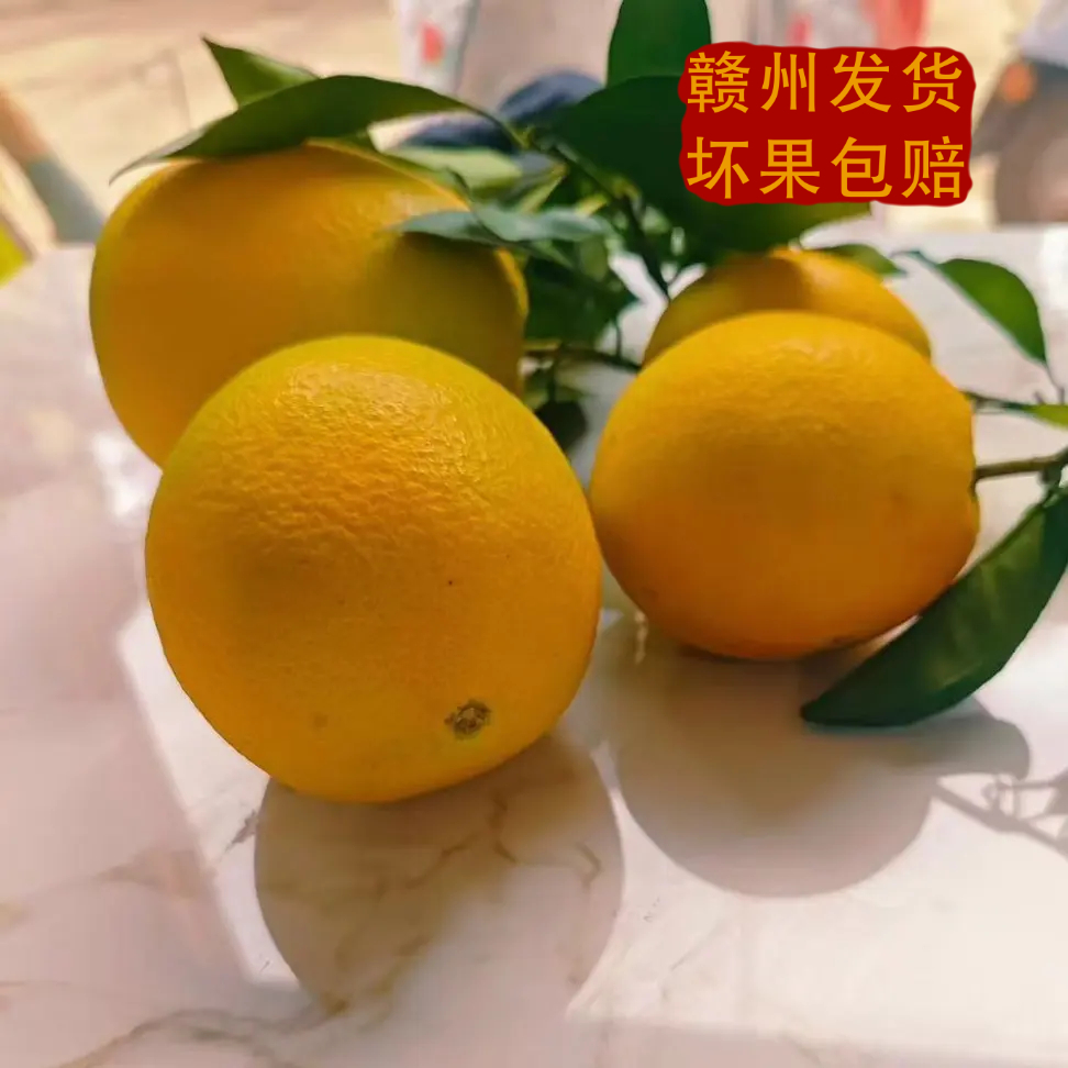 正宗赣南脐橙新鲜应季水果皮薄多汁香甜爆汁