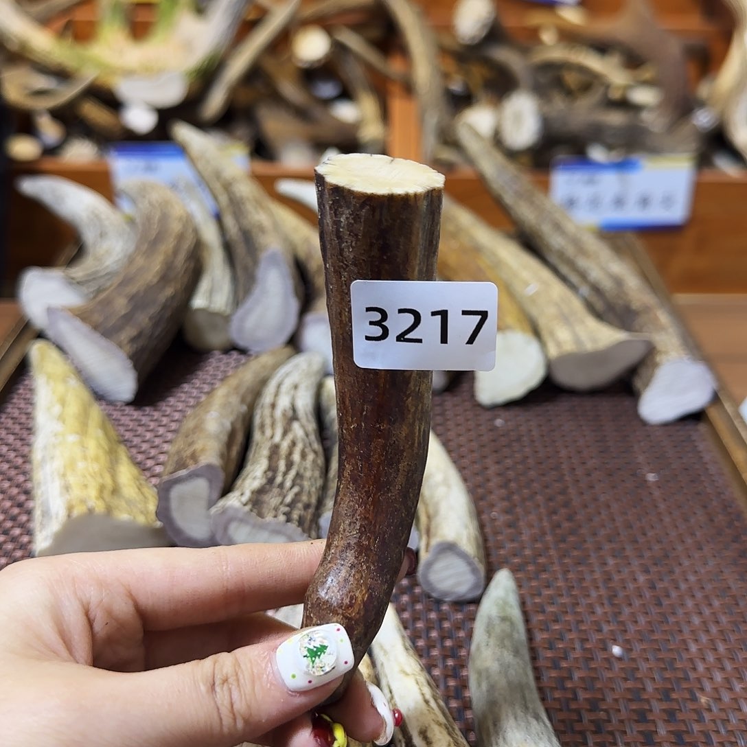 手串/手链鹿骨角尖3217