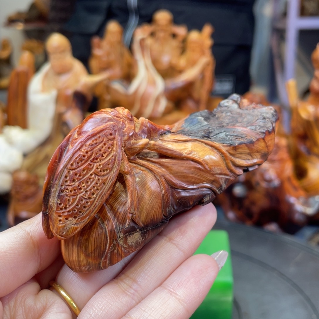 柏木（崖柏）。。。。。。。。