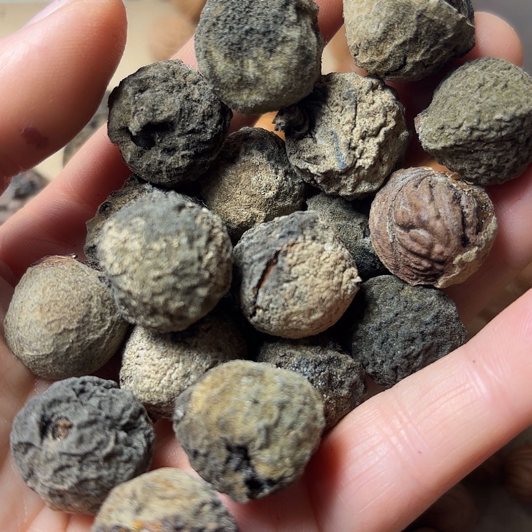 桃核吊坠学*秦岭龙文桃宵