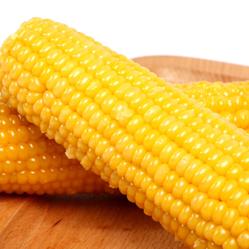 正宗东北高端黄糯玉米软糯香甜独立真空包装平均250g以上8支..