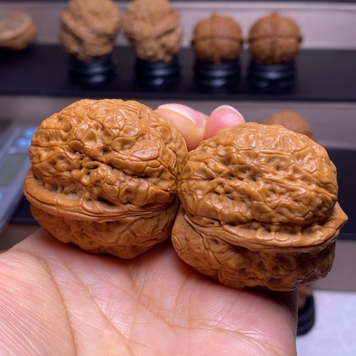 文玩核桃把件黄金蟒47