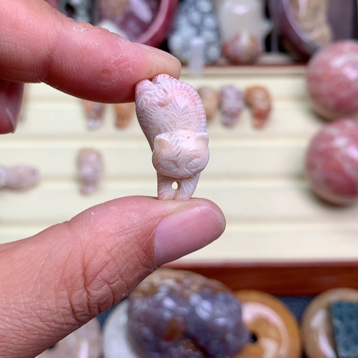 硅化珊瑚（珊瑚玉）未镶嵌颈饰