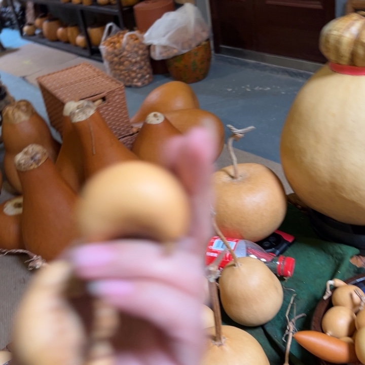 新***秀葫芦岛市，我也是很喜欢