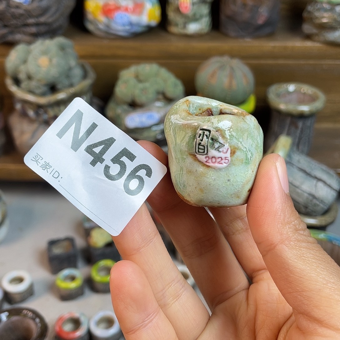 坛子姐花盆小白孤品 内口1.7百搭