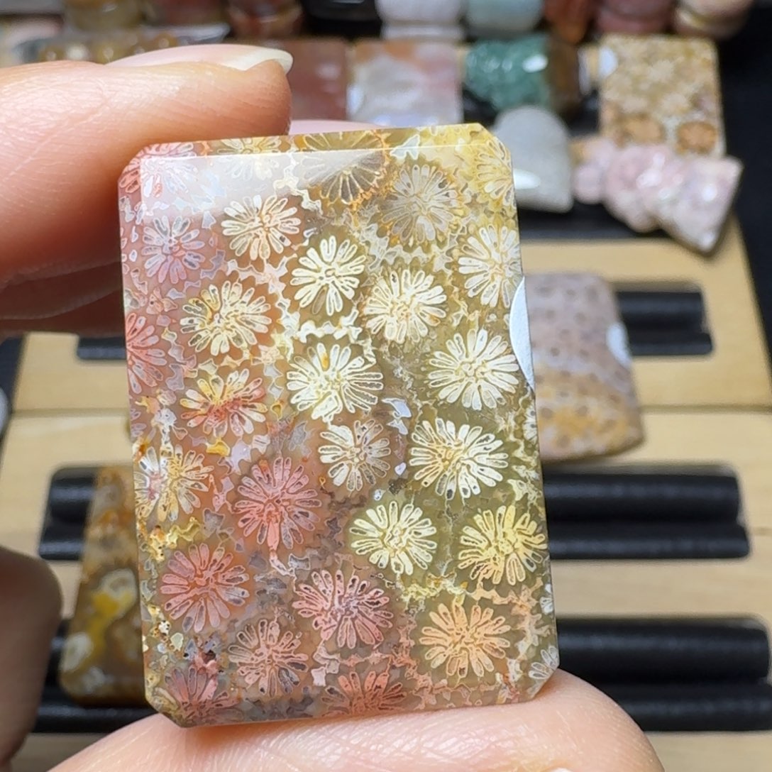 硅化玉多彩清晰花，有点骨骼未镶嵌