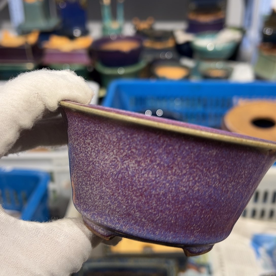 碗觉象原创作品欣赏