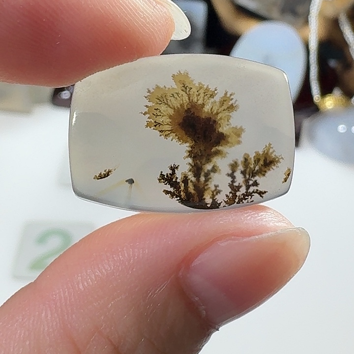 玛瑙/玉髓未镶嵌珠宝奇石