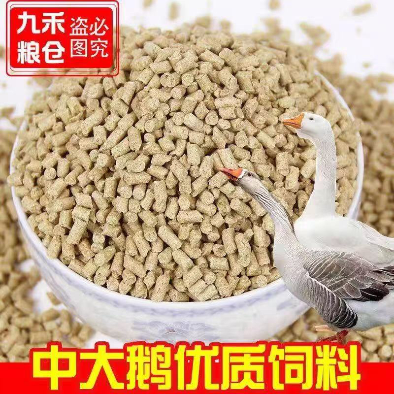 小鸭小鸡苗小鸭苗小鹅苗开口饲料包邮