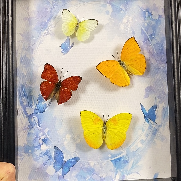 大理石磁石4只蝴蝶10寸框