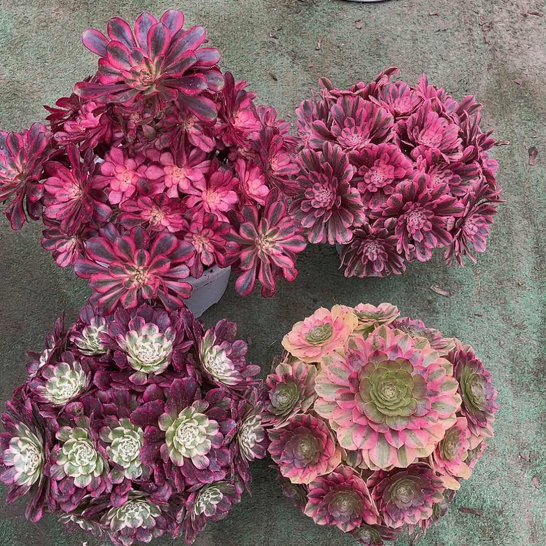 在***方hhhhhhhhhhhhhhhhhhhh