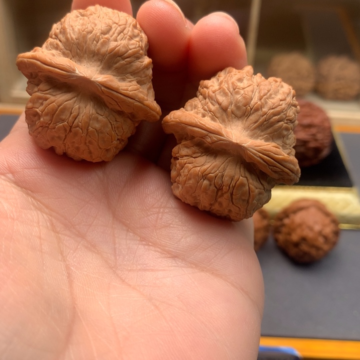文玩核桃吊坠血麒麟