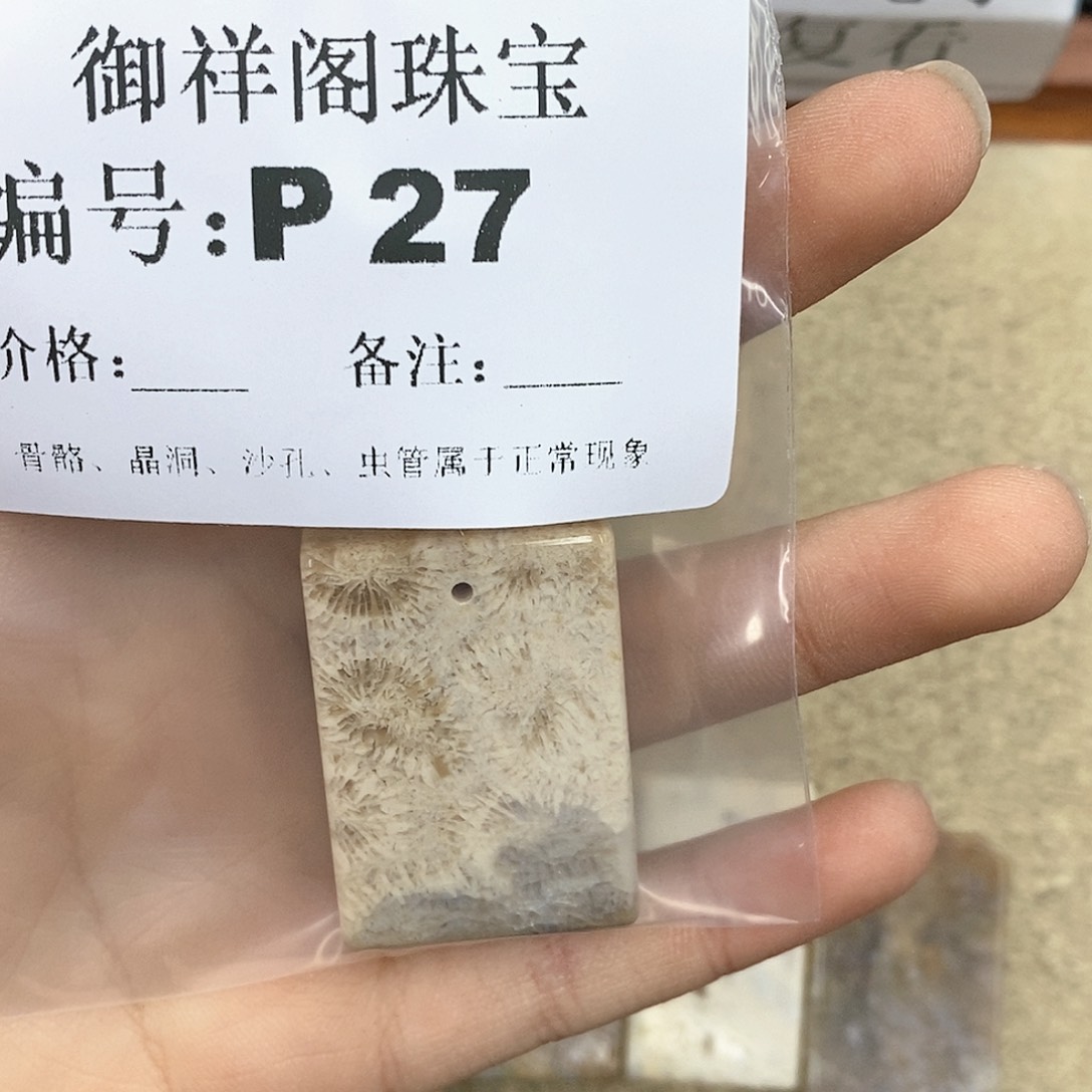 硅化珊瑚（珊瑚玉）L未镶嵌澜