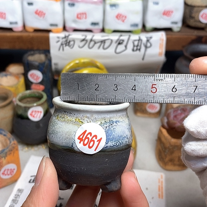 红陶拍5送一个小