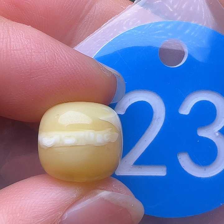 蜜蜡裸石未镶嵌皮点12.5/11.5m m