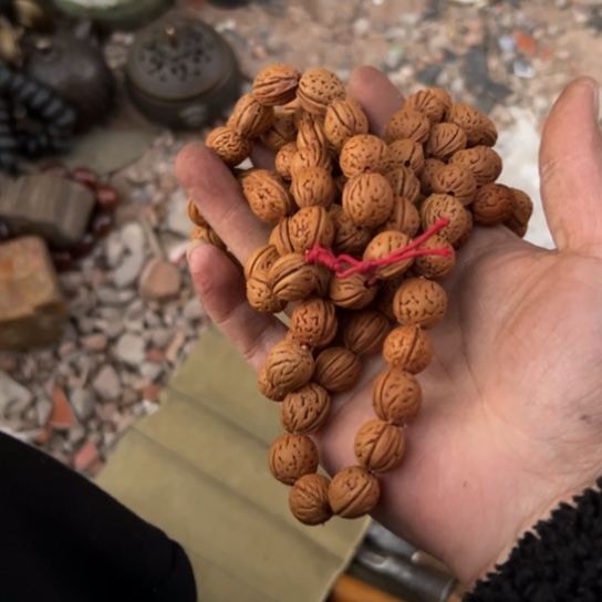 大***子杂色豆（科檀/科特迪瓦檀木）