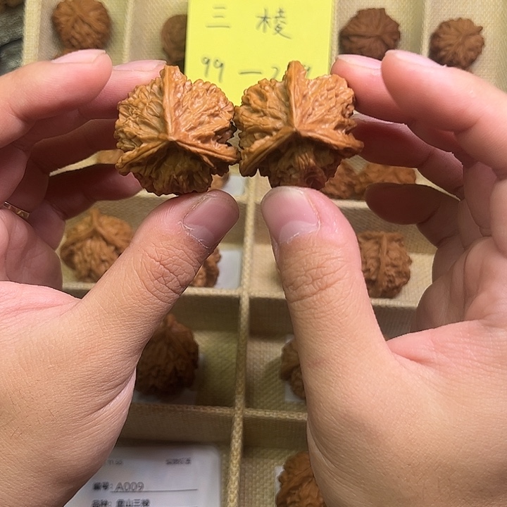 饕*三棱37尺寸三棱尺寸