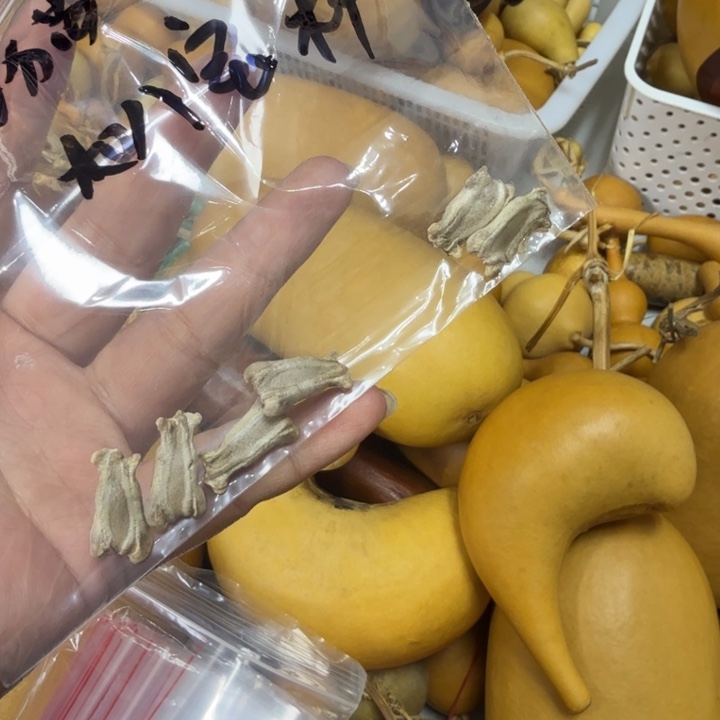 油***饼竹类大八宝种子葫芦