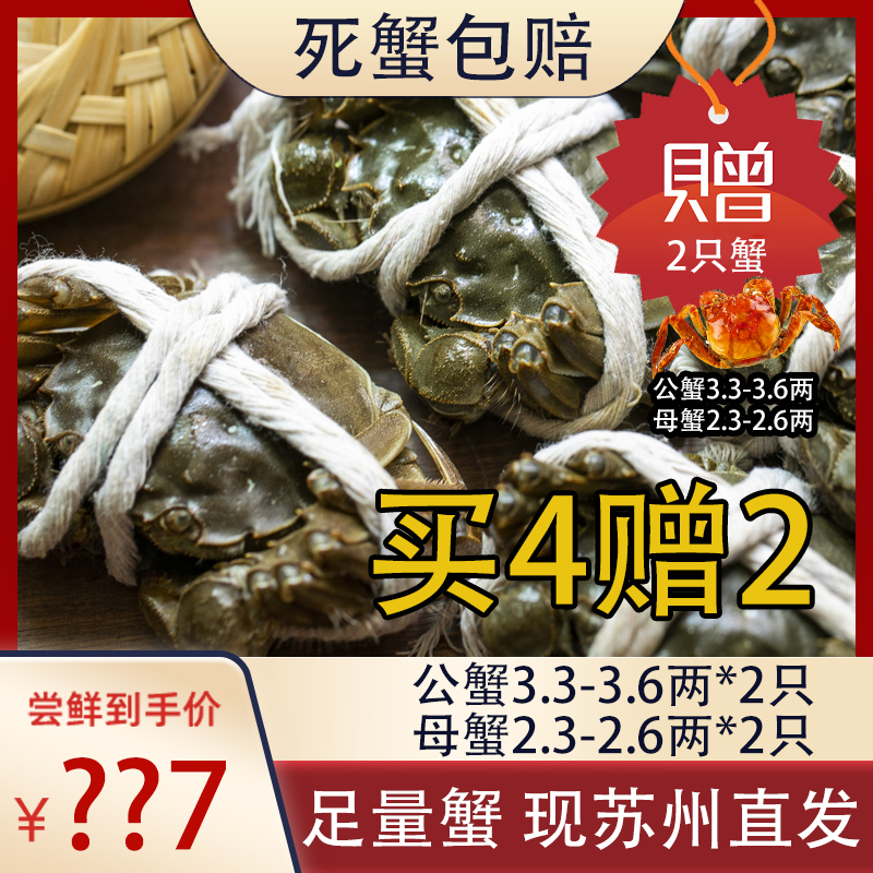 【活蟹】一湖鲜精品苏州大闸蟹公3.3-3.6+母2.3-2.6两买4送2只礼盒