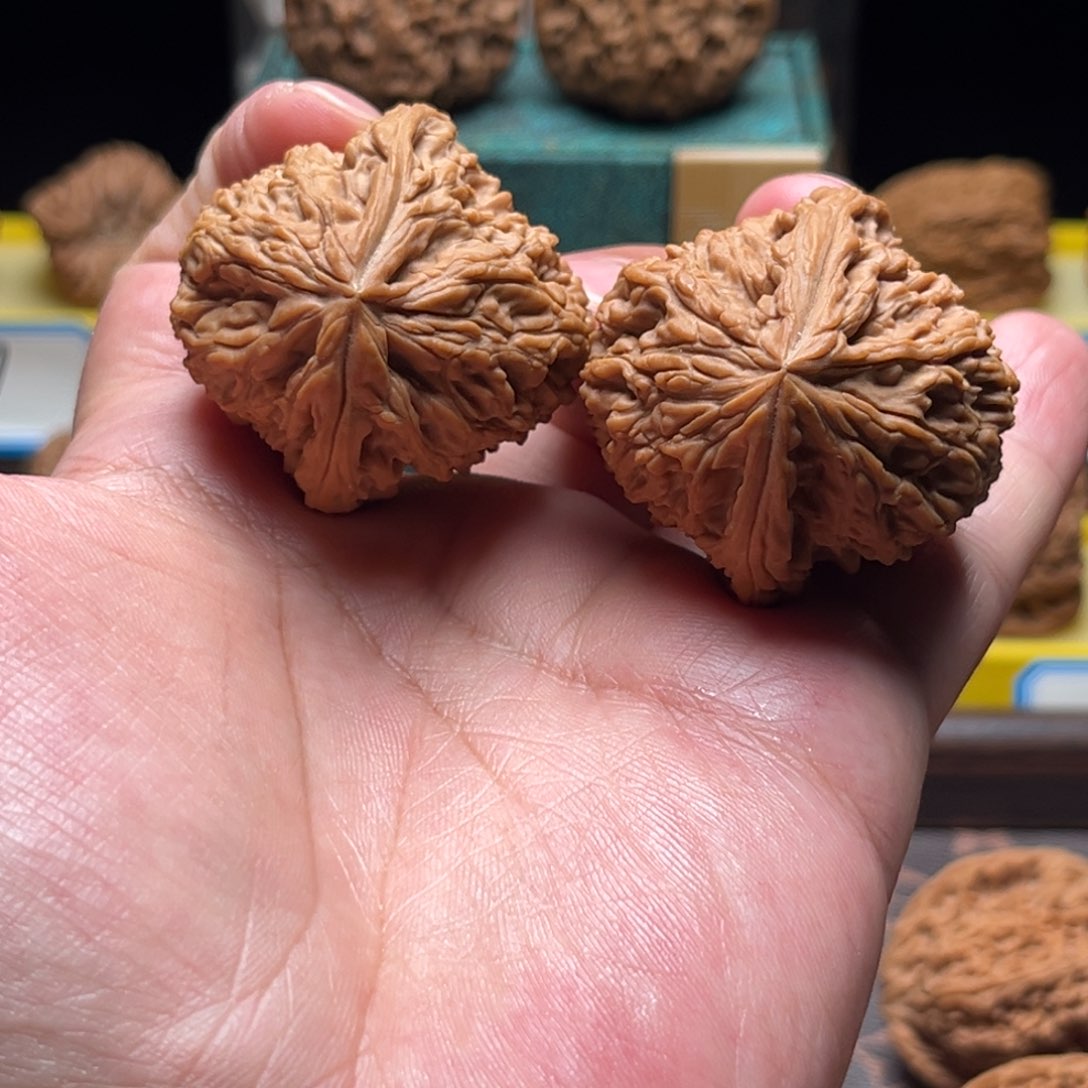 把件文玩核桃政**和逐鹿天残疆