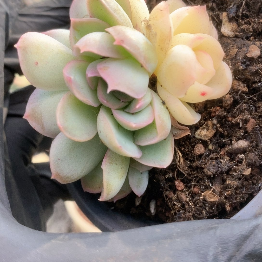 134杂锦锦锦锦锦锦锦