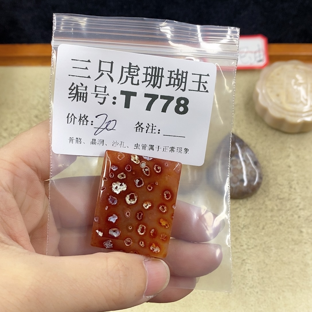 硅化珊瑚（珊瑚玉）1未镶嵌小****界