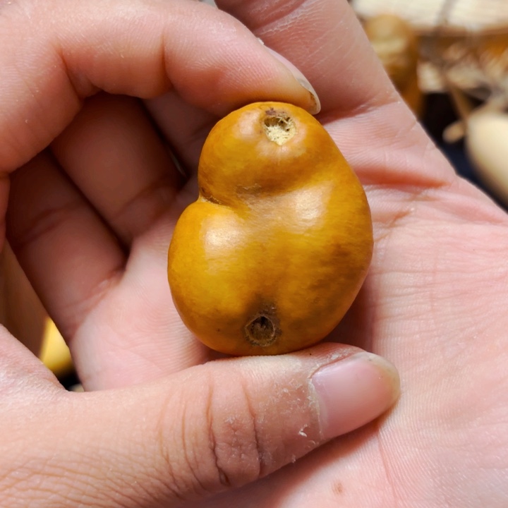 老*888888888888888989