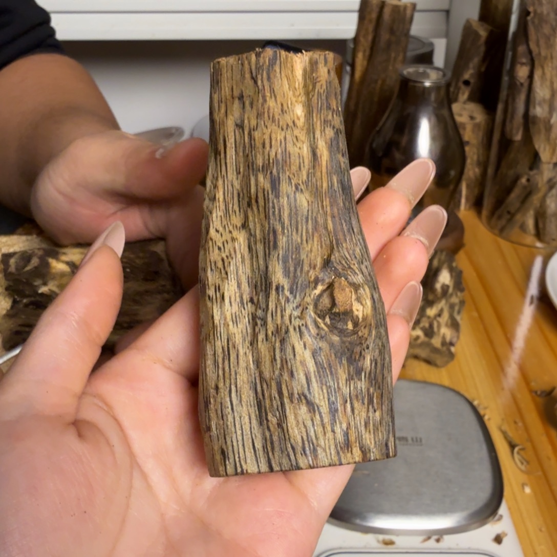 沉香白奇虫漏25克