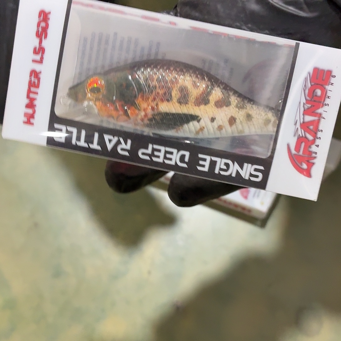 孤品24-全部颜色随机