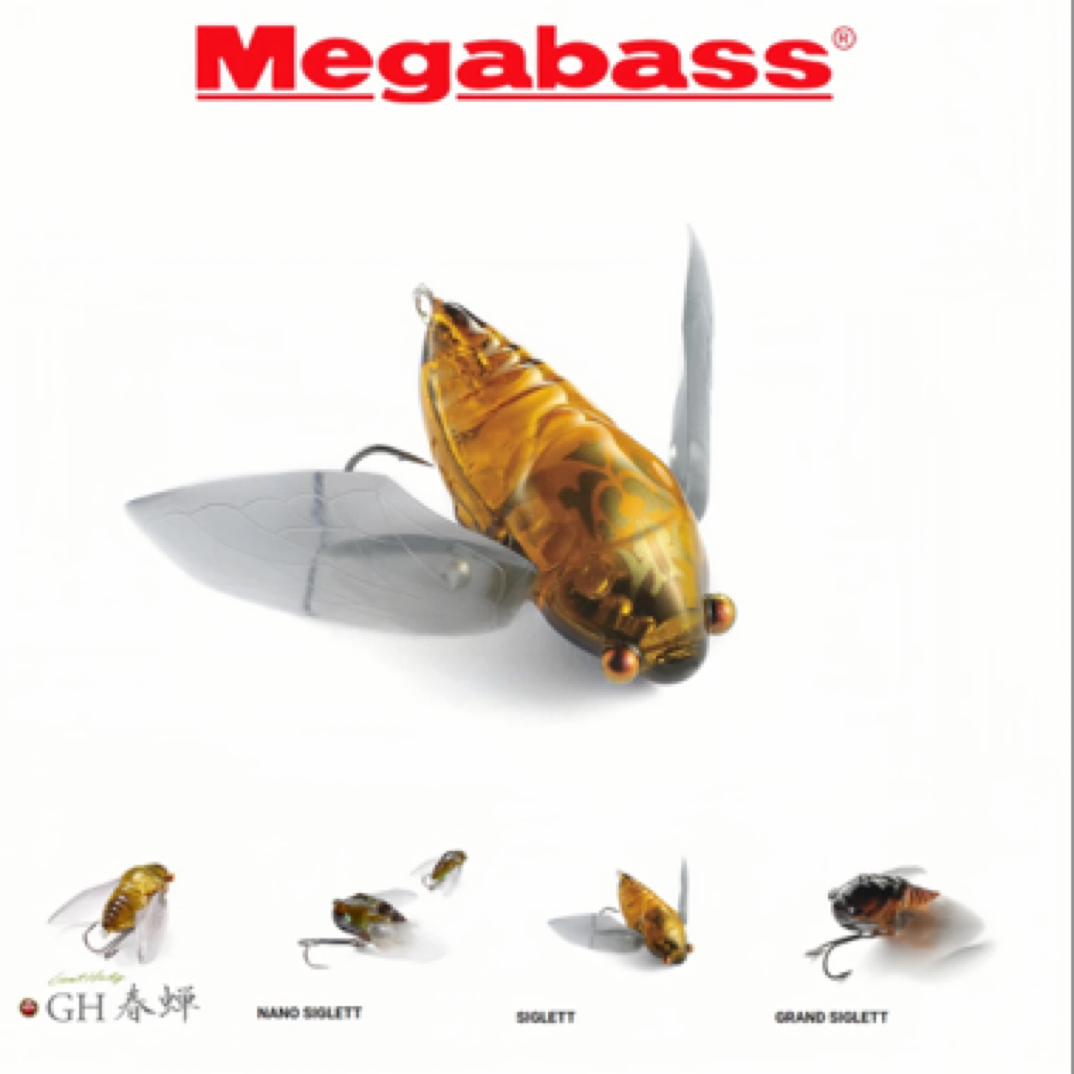 日本 megabass 水面蝉Grand siglett路亚硬饵水面系假饵