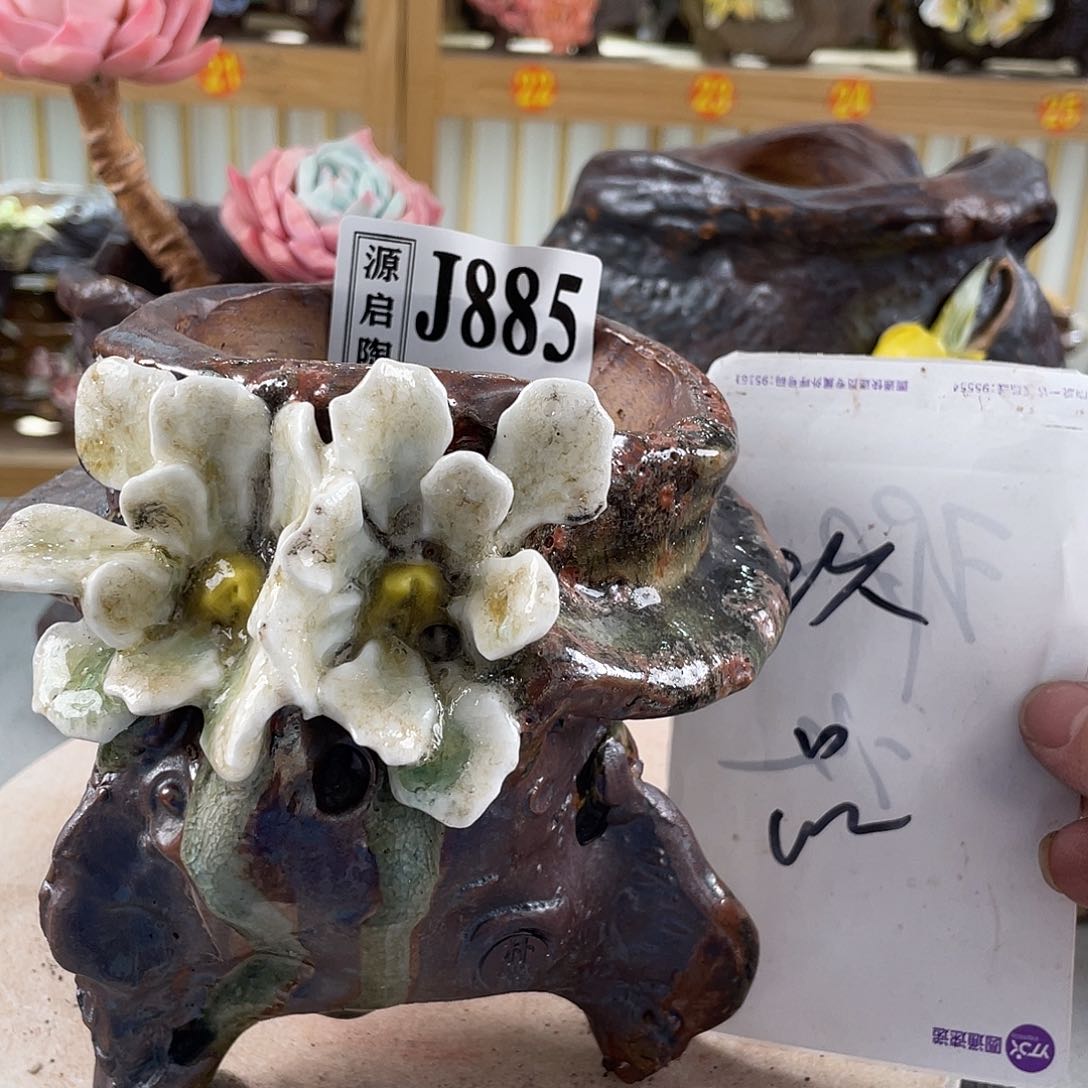 紫砂花盆景德镇陶瓷多肉885