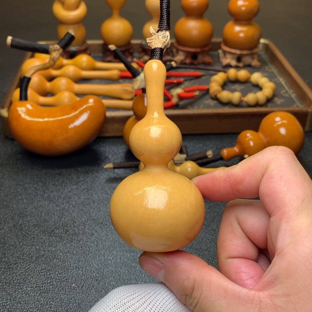 ?****馆天然植物保护研究所所长