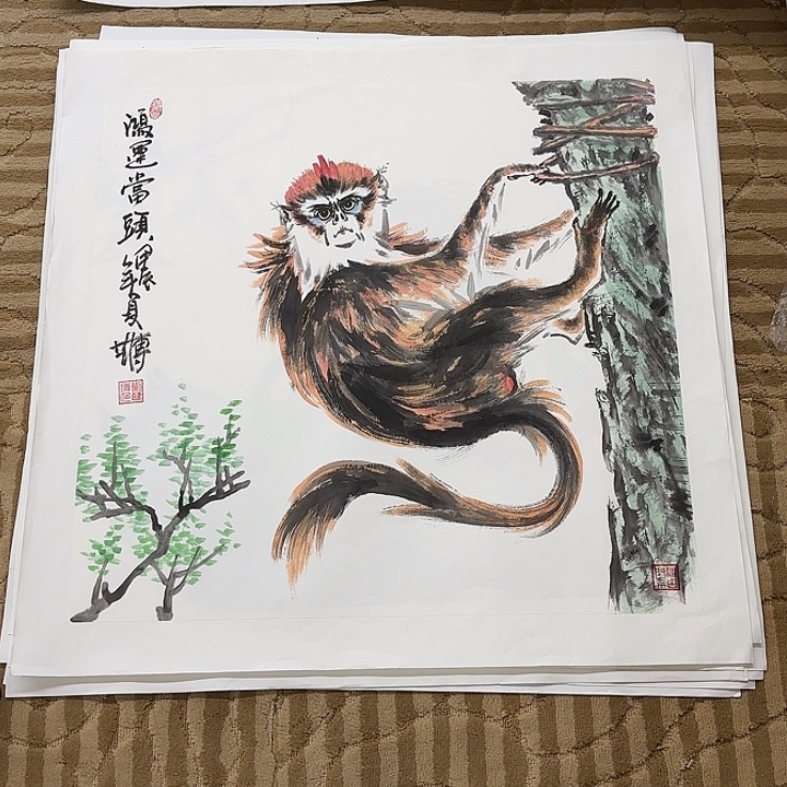 国画花鸟等多种鸟类的栖息70.70