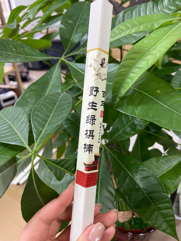 珍藏品 野生绿棋楠 天然线香