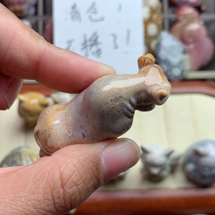 硅化珊瑚（珊瑚玉）颈饰未镶嵌