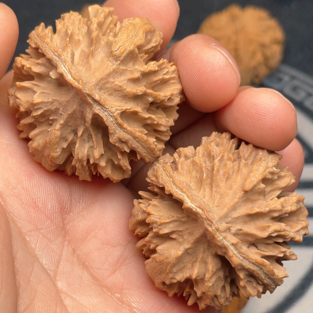 文玩核桃把件8号链接