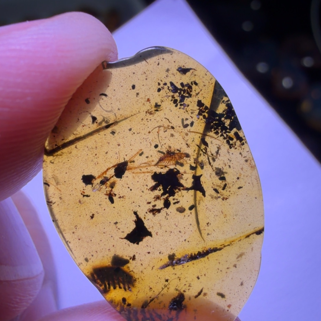 随***侧琥珀未镶嵌裸石，，