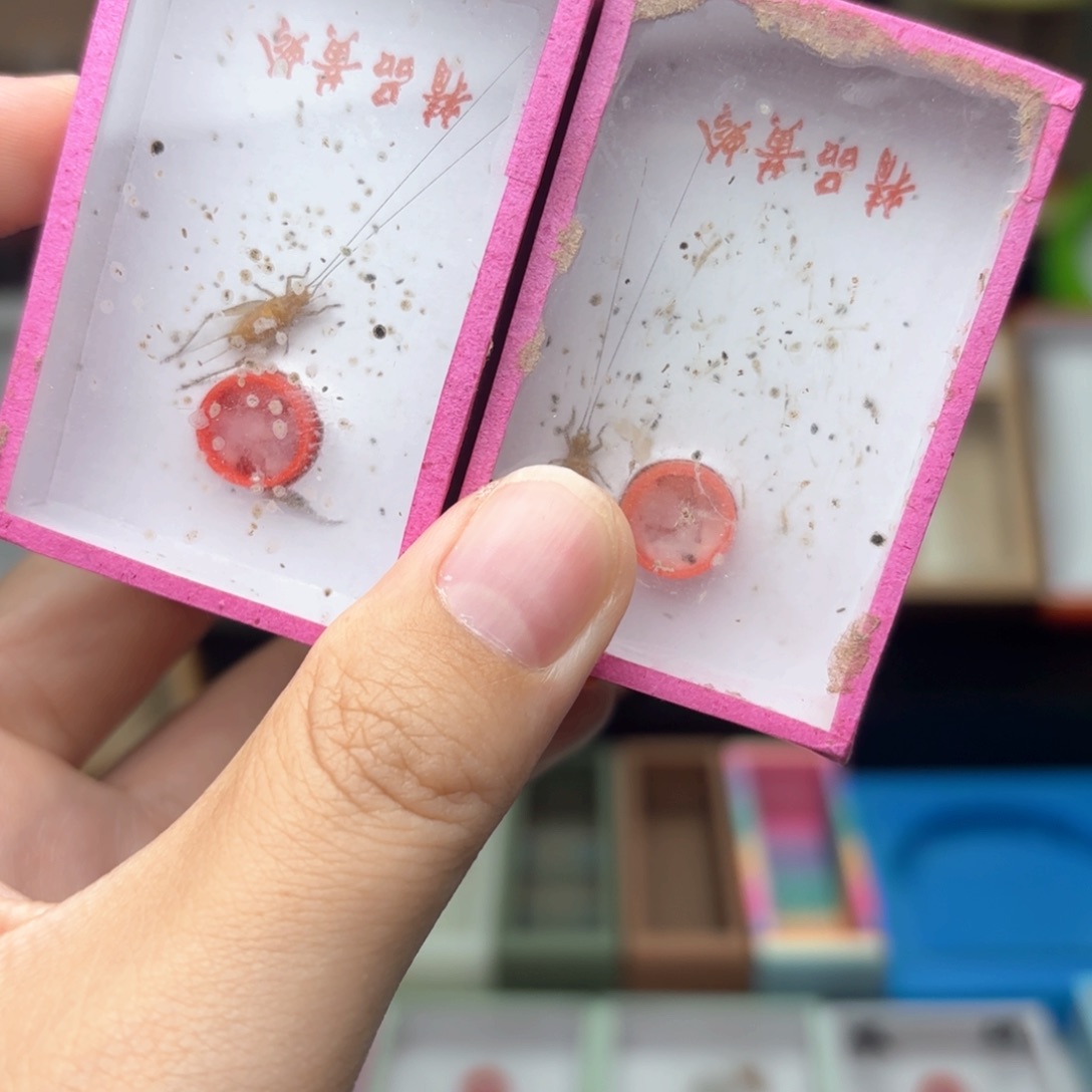 哈哈哈哈哈哈哈哈哈哈哈